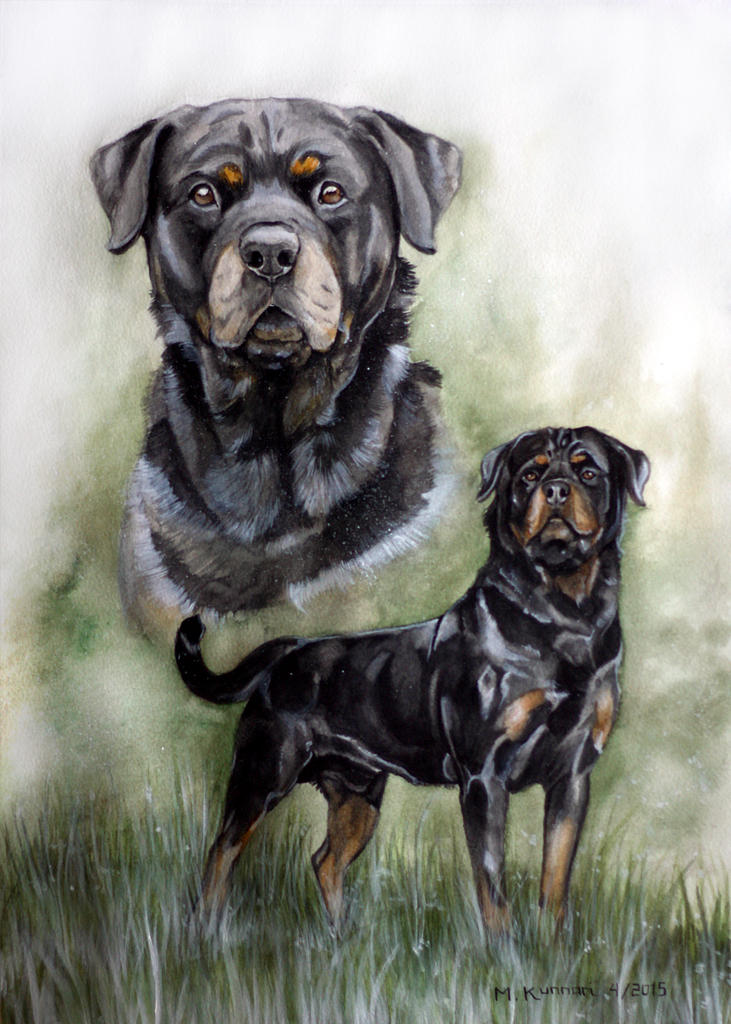 Commission - Rottweiler by Marzzunny on DeviantArt