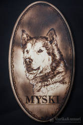 Pyrography - Myski