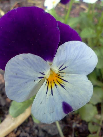 ttfn by akortu15 on DeviantArt