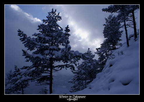 Winter in Zakopane