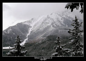 Winter in Zakopane 3