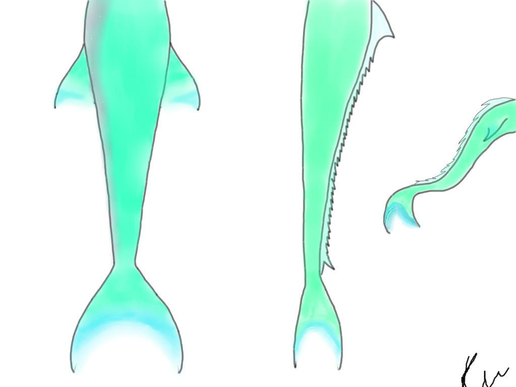 Mermaid Tail Design Angelfish by AWanderingDryad on DeviantArt