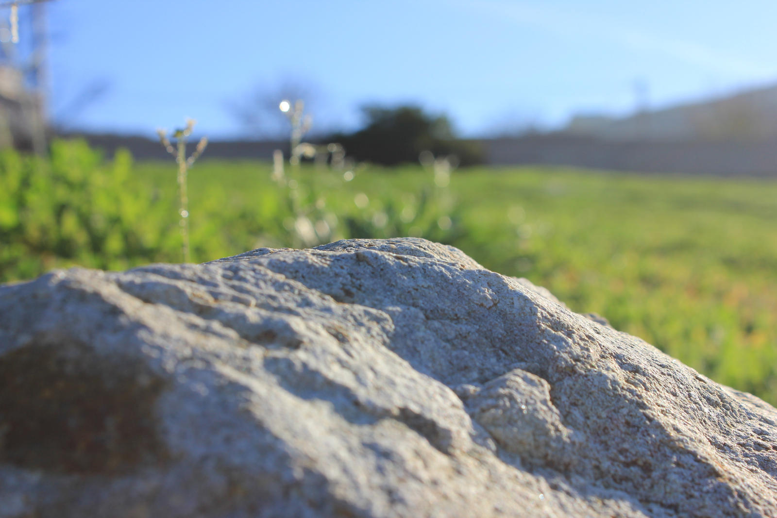 Macro Background Stock