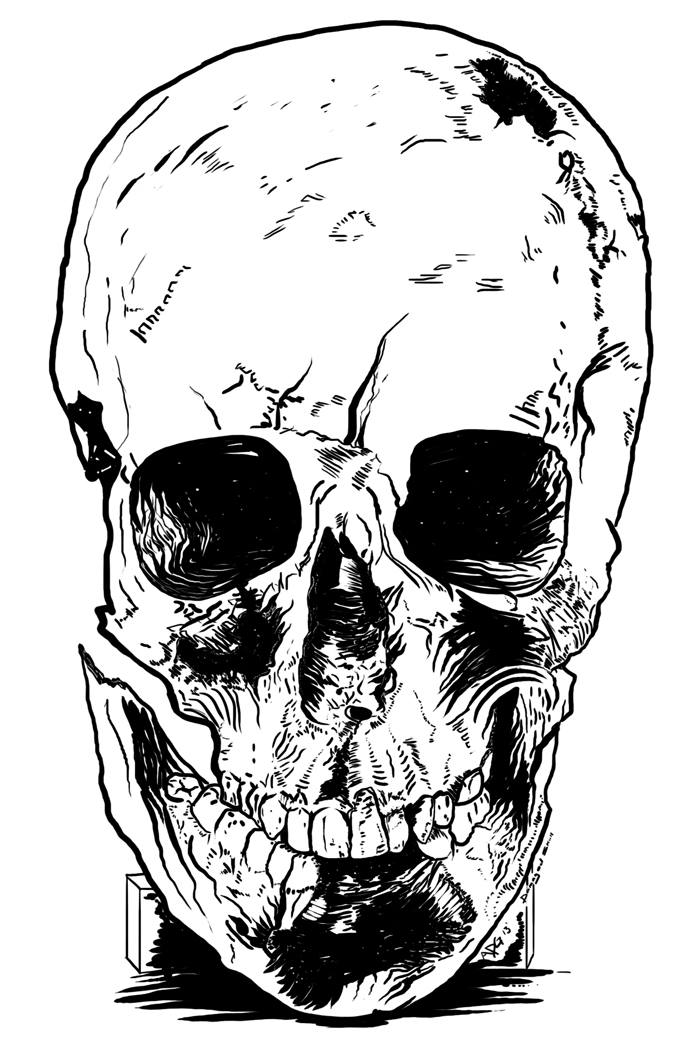 The Colonial Skull