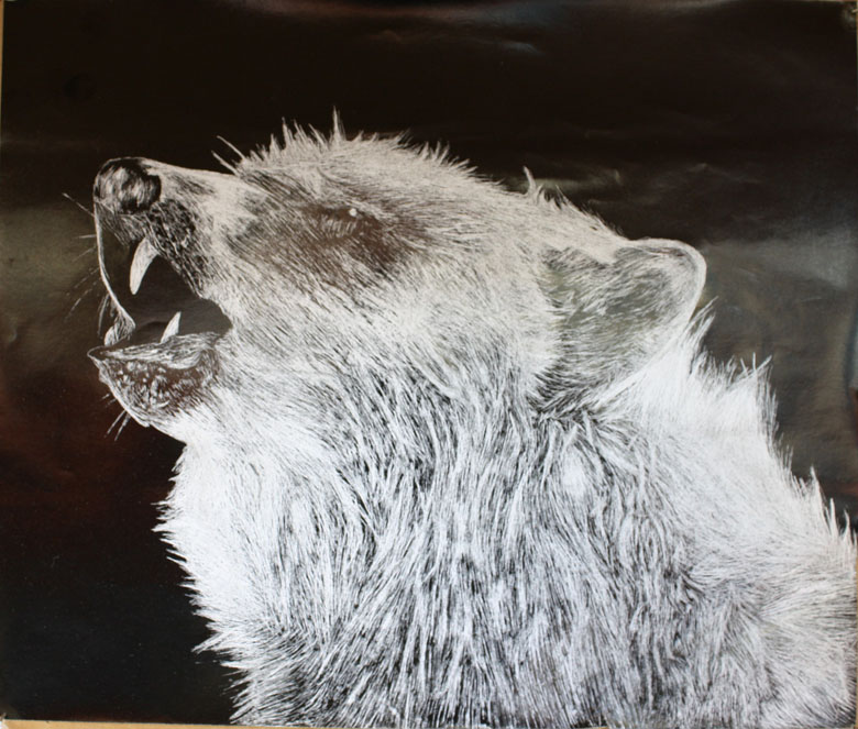 Scratch Art Wolf