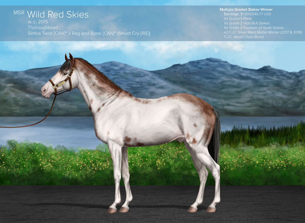 MSR Wild Red Skies (CAN)