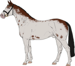 SkyeDesign by Annacaza