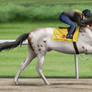 KY Derby Extra: Skye