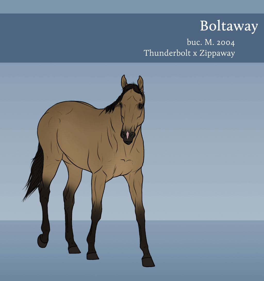 Boltaway