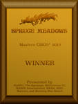 2019winnerplaque by Annacaza