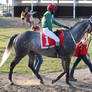 Horse Racing