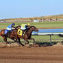 Horse Racing