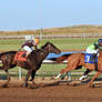 Horse Racing