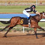 Horse Racing