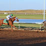 Horse Racing