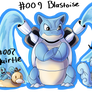 PokePaints - Squirtle, Wartortle, Blastoise