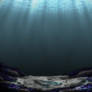 Under Water Scene Background