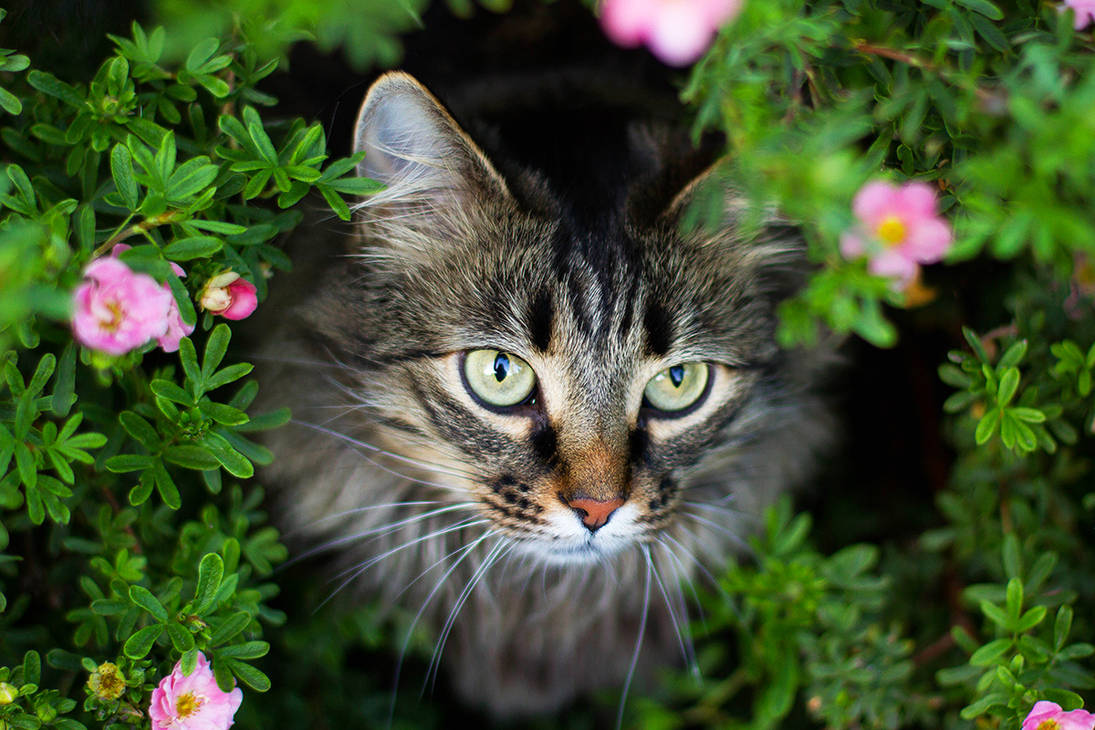 Looking for Me? by weelx Looking for Me? by weelx