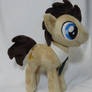 Dr. Whooves