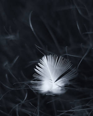 Down by MatsHolmberg Down by MatsHolmberg