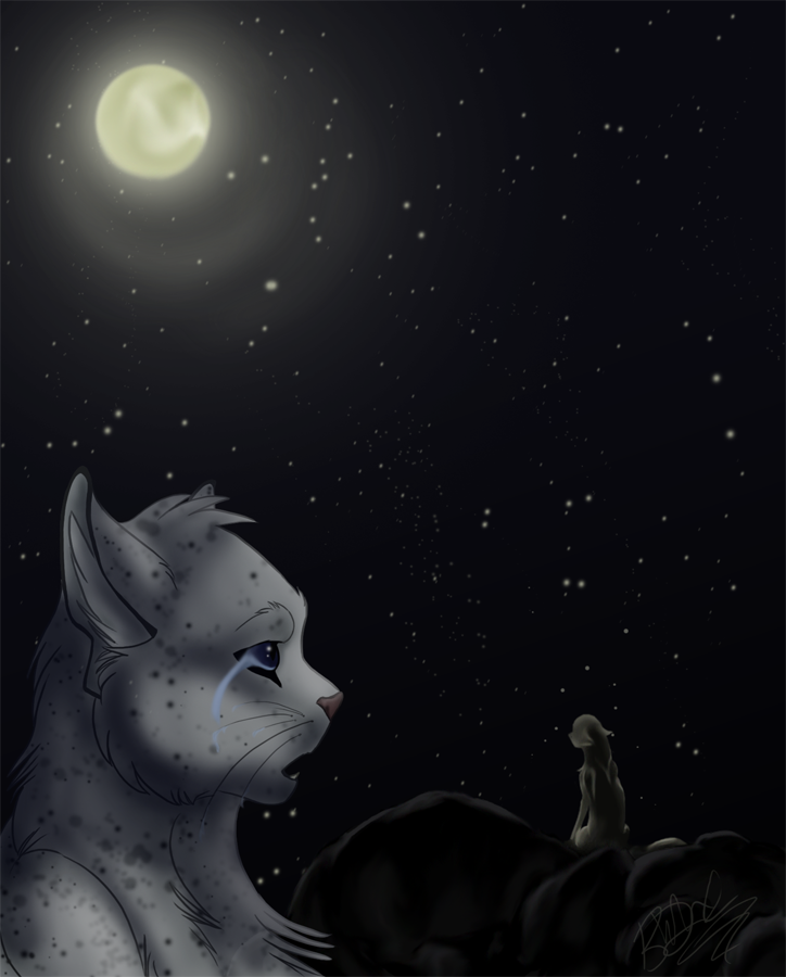 Staring into StarClan