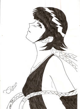 soi fon