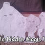 Introducing Forbidden Magic Silly Vlogs?