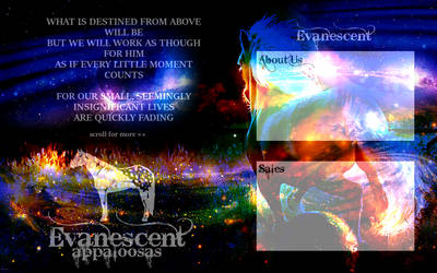 evanescent sample 2