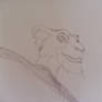 Photo from drawing= Zira