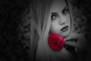 Blood Red Rose