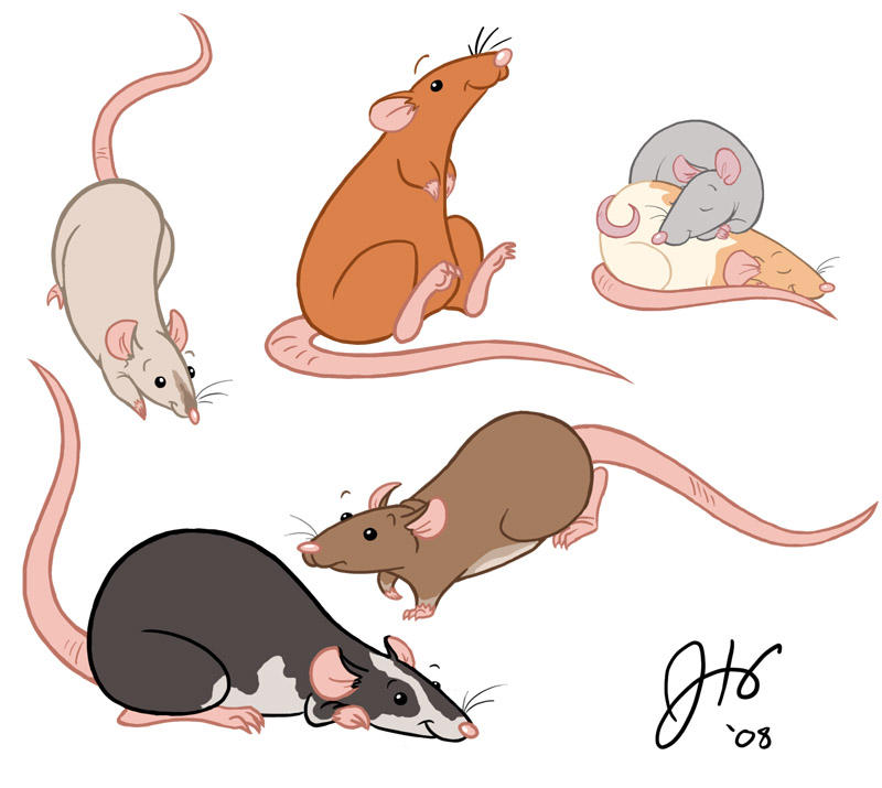 Aw, Rats. by ketari on DeviantArt