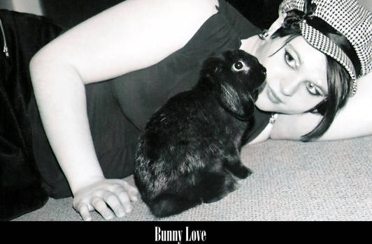 Bunny love