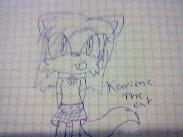 karime the cat nwn