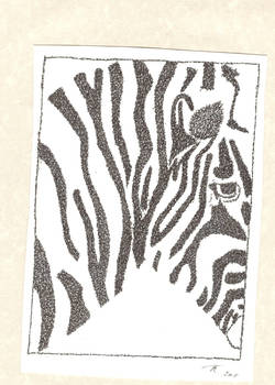 Stippled Zebra