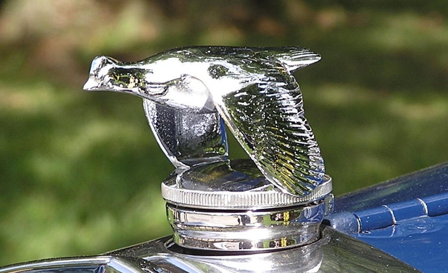 Flying Bird Hood Ornament By Hawkeye024 On Deviantart Flying Bird Hood Ornament By Hawkeye024 On Deviantart