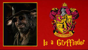 Karl Heisenberg is a Gryffindor