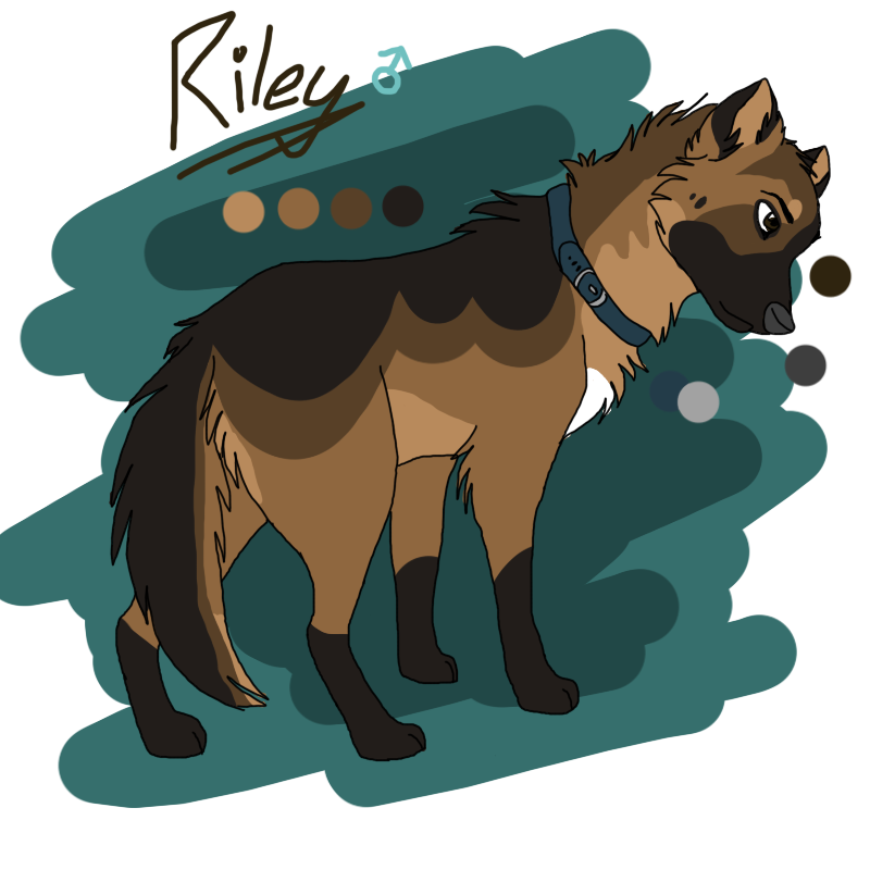 Riley