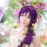 Love Live Fairy Tail - Nozomi