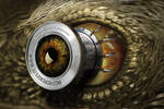 Bird's eye