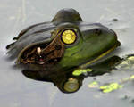 Clockwork Frog 1280x1024