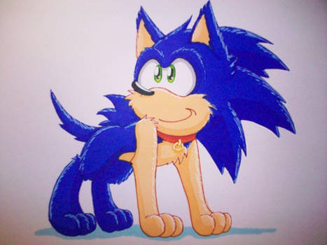 Sonic the Hedgedog