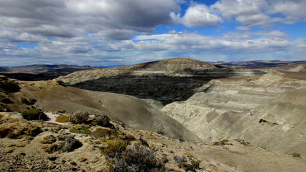 Petrified Forest 3