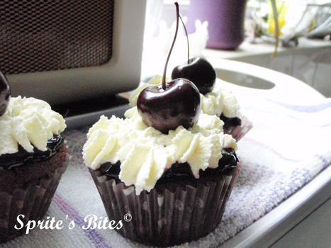 The Black Forest Cupcake