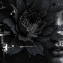 The flower of silence