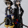 Sora and Riku