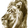 Aslan: Narnia