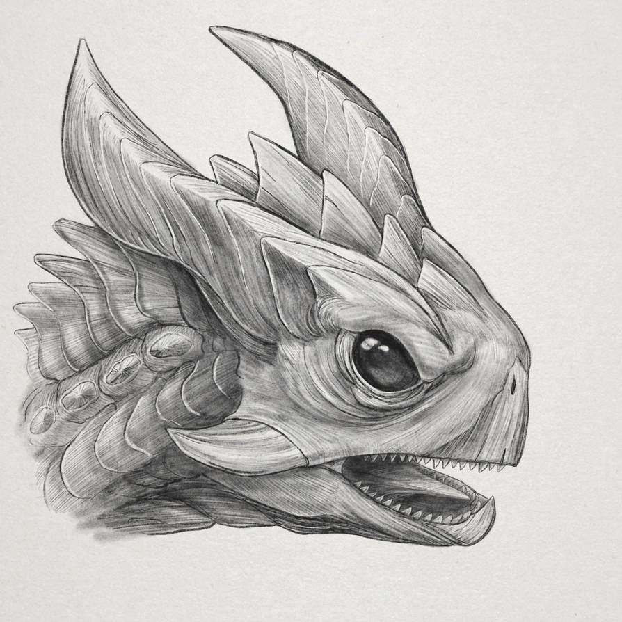 Turtle inspired dragon by TheDragonStory on DeviantArt