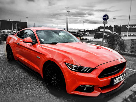 Ford Mustang #ford #mustang #fordmustang