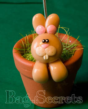 Rabbit in Flowerpot