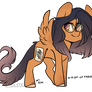 Ponysona